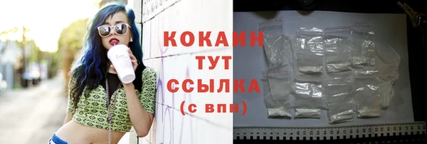 крисы Алексин