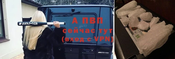 крисы Алексин