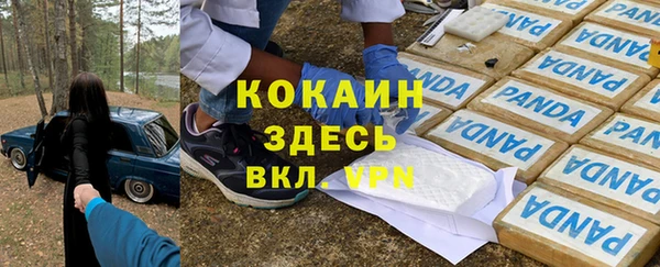 спиды Алзамай