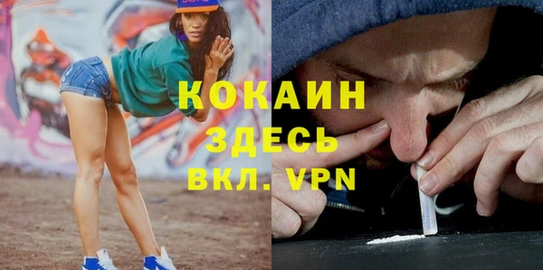спиды Алзамай
